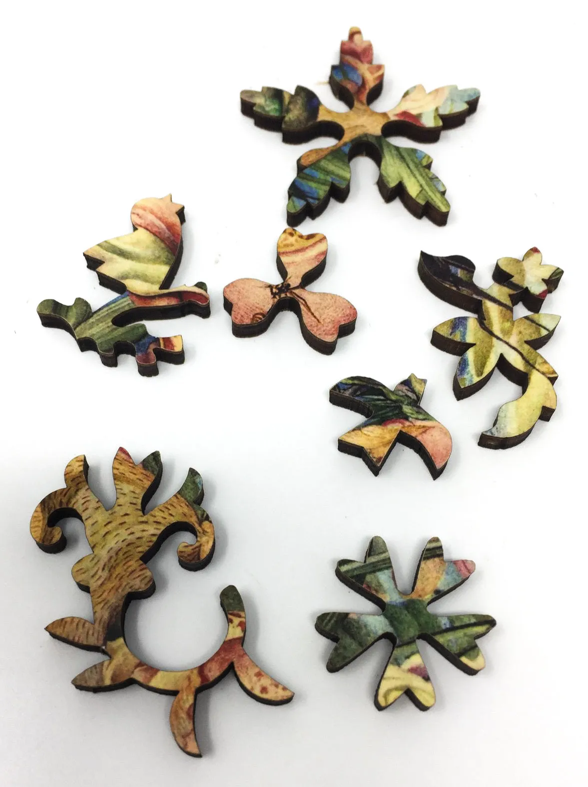 Birds & Insects (47 Pieces) Mini Wooden Puzzle