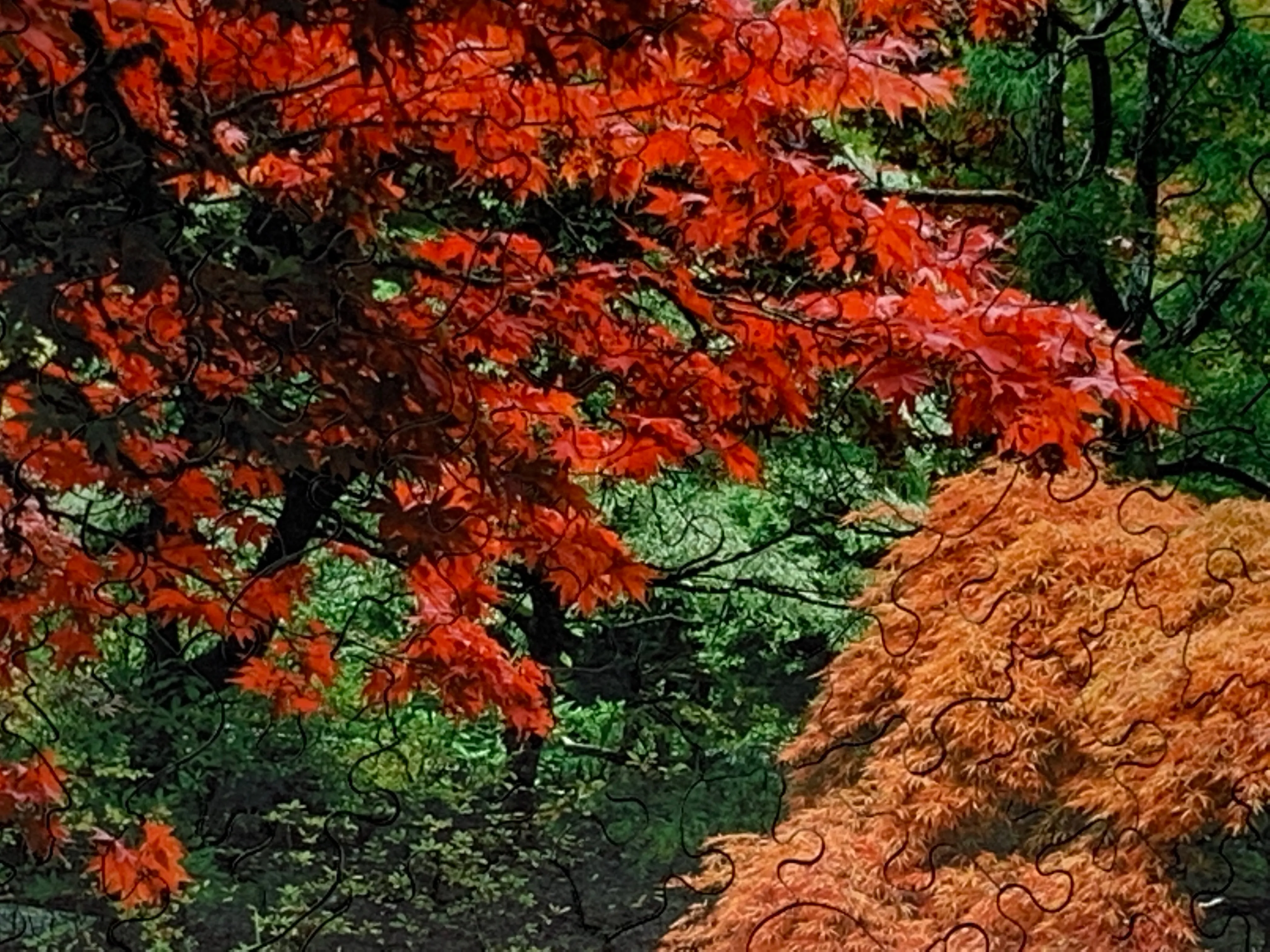 Butchart Gardens in Fall (190 Piece Fall Wooden Jigsaw Puzzle)