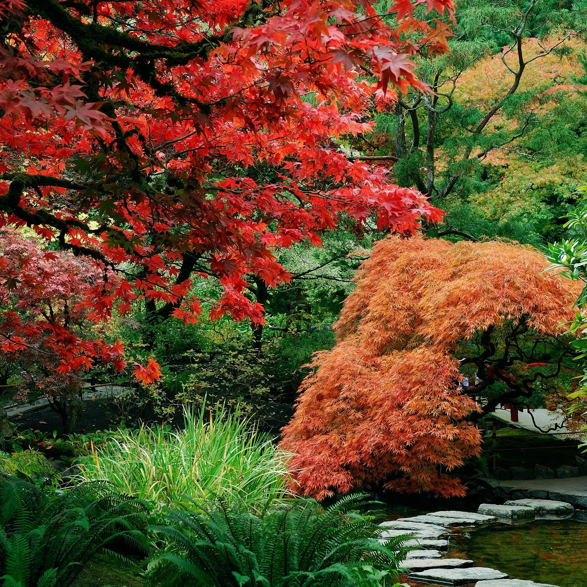 Butchart Gardens in Fall (190 Piece Fall Wooden Jigsaw Puzzle)