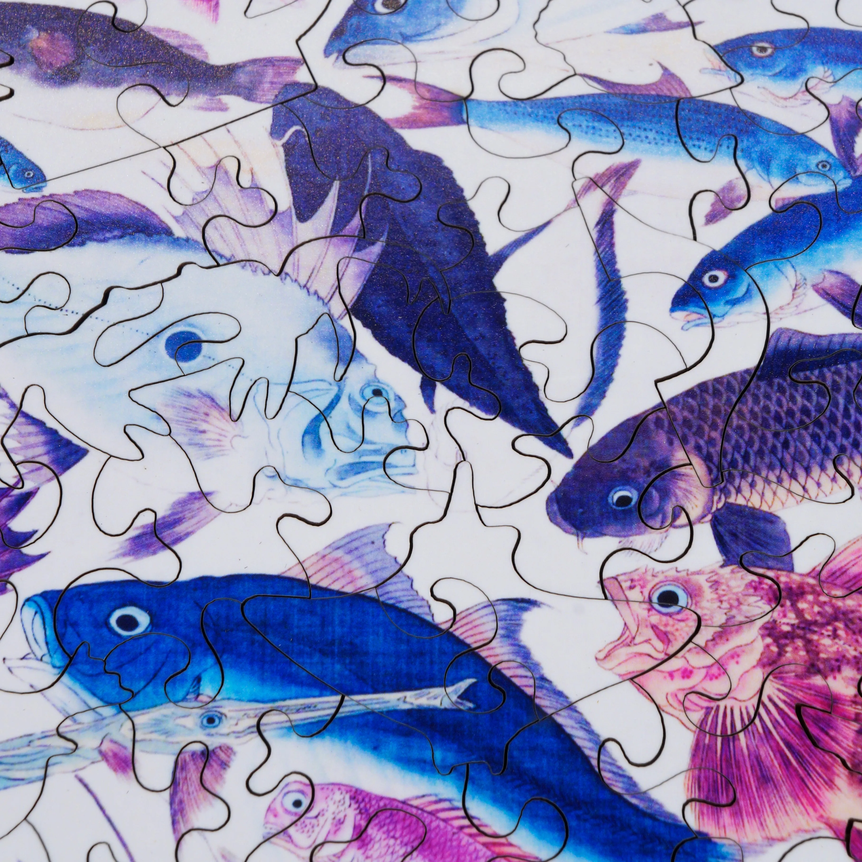 Eighty-Eight Fish (200 Piece Wooden Jigsaw Puzzle)