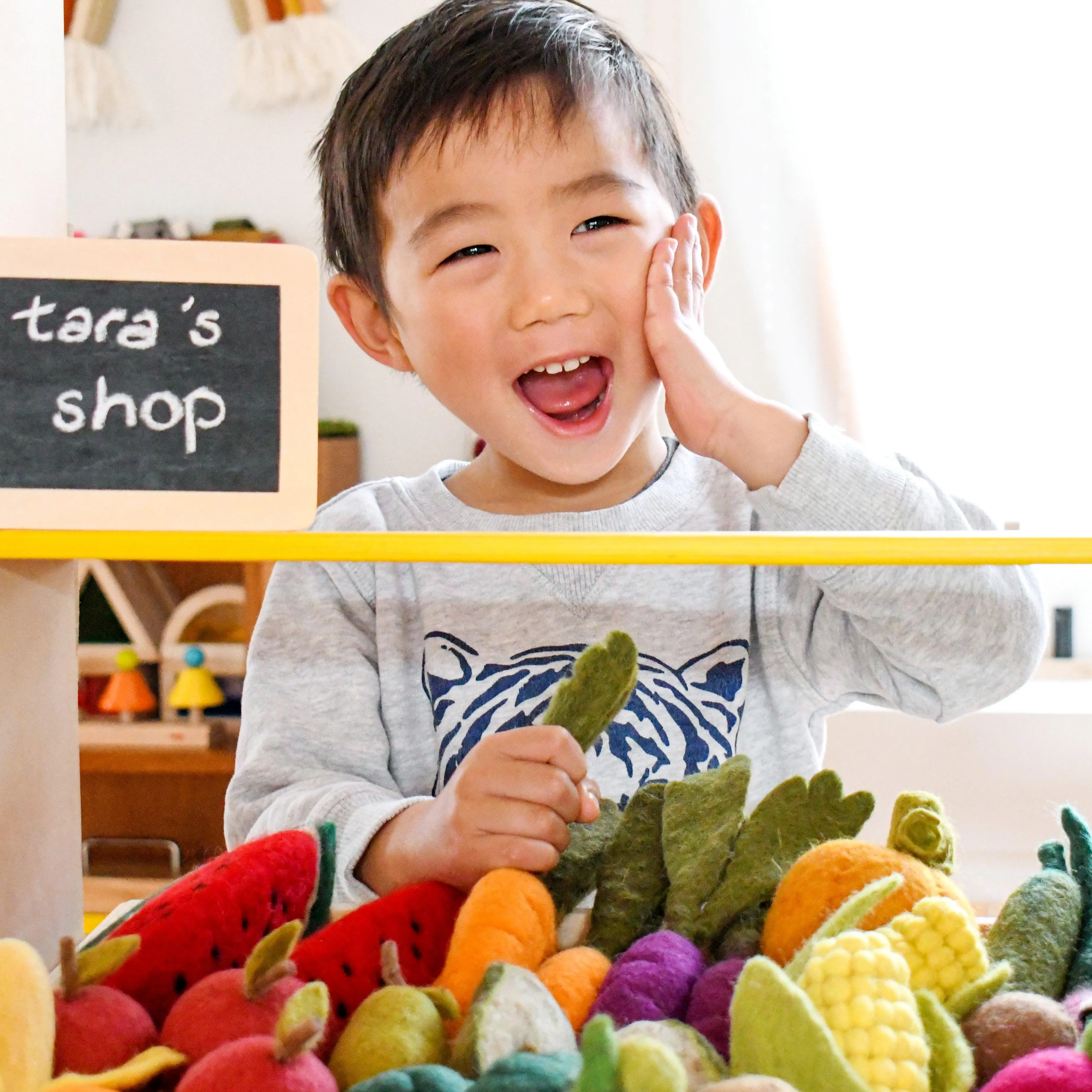 Felt Vegetables and Fruits Set A (Set of 14 pieces)